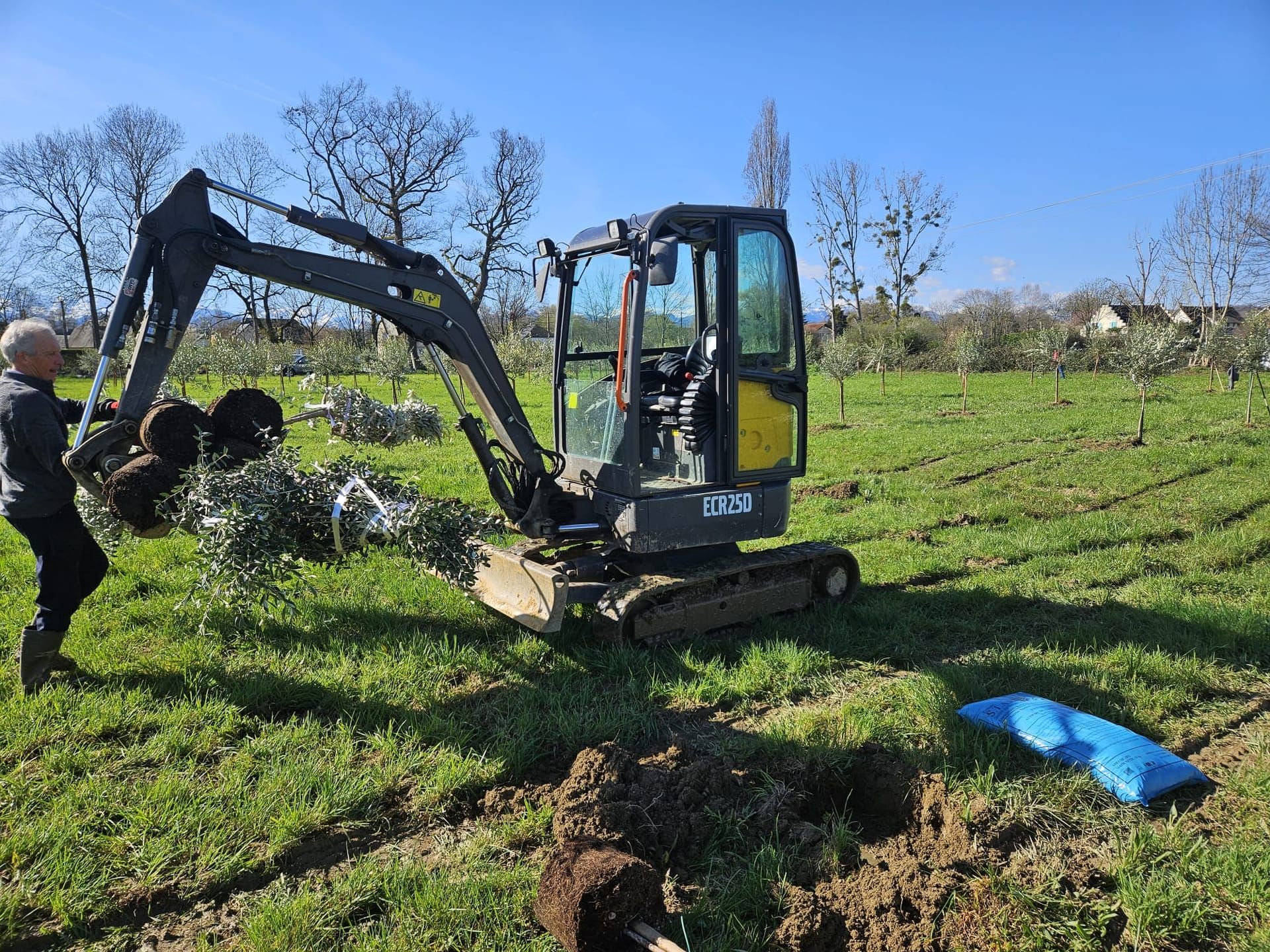 Dessouchage et arrachage d'arbres avec mini-pelle dans les Hautes-Pyrénées