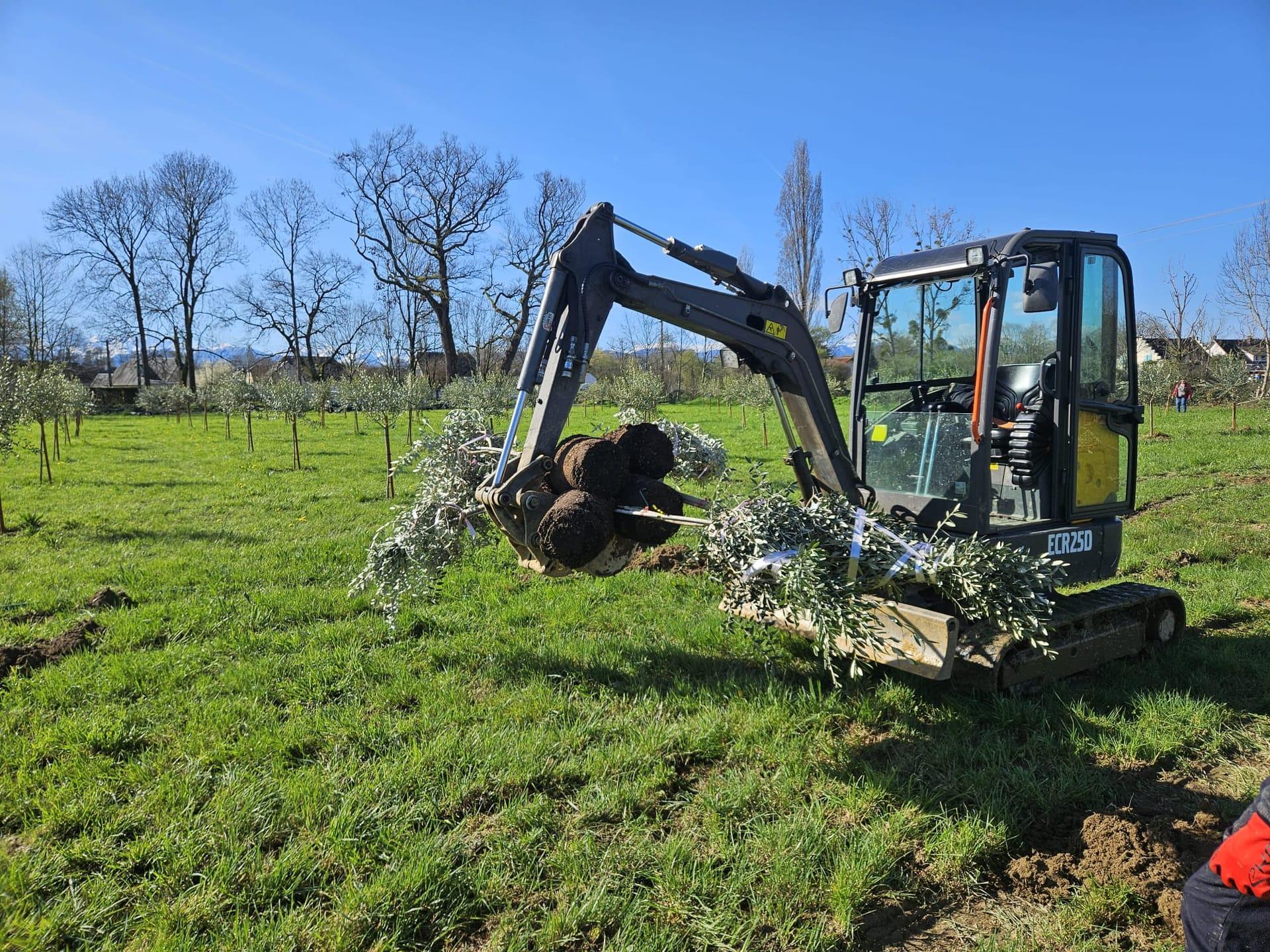 Arrachage de souche avec mini pelle dans le département 65
