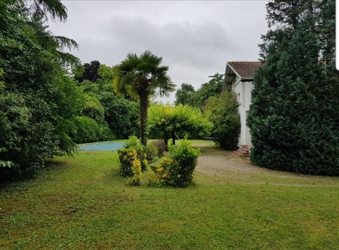 Jardin avant aménagement de terrasse et rénovation piscine