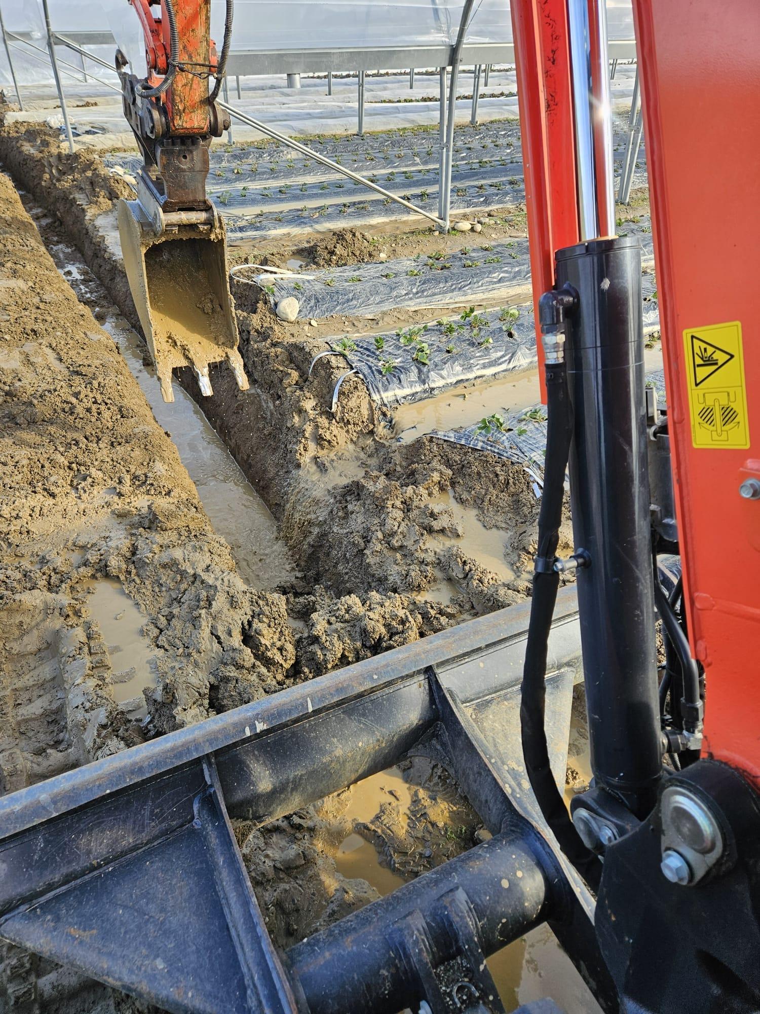 Creusement de tranchée pour irrigation avec mini pelle Kubota